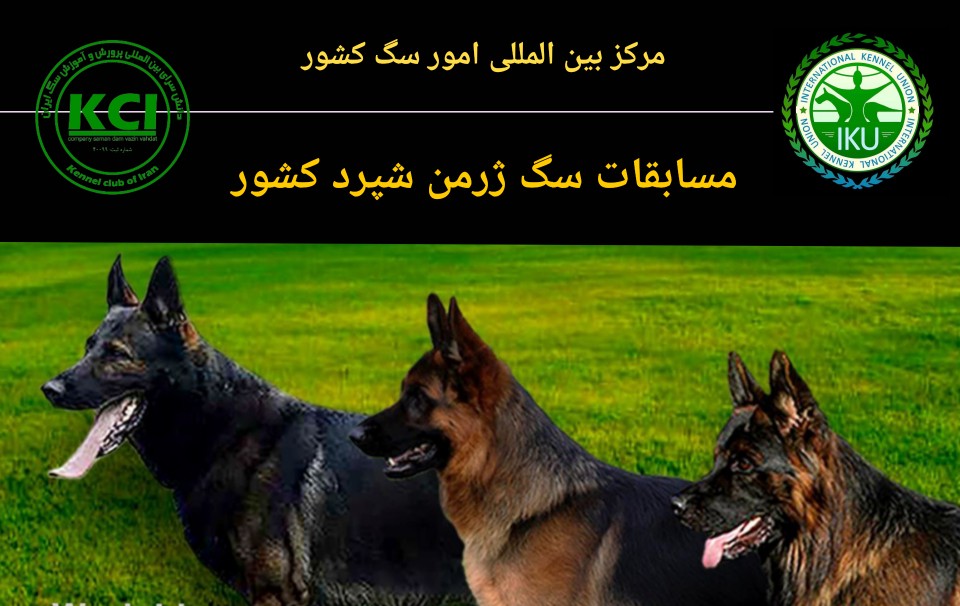 مسابقات سگ ژرمن شپرد 